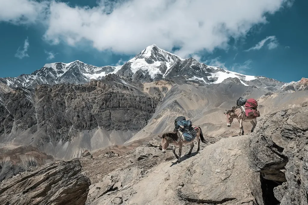 Atlas Mountains