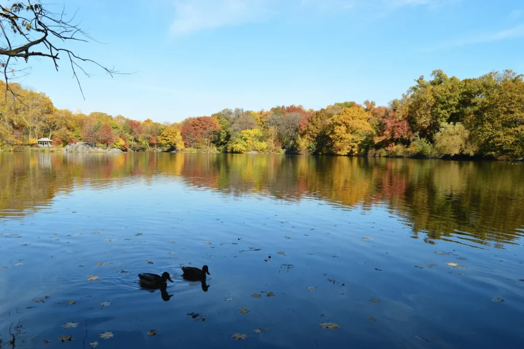 Central Park
