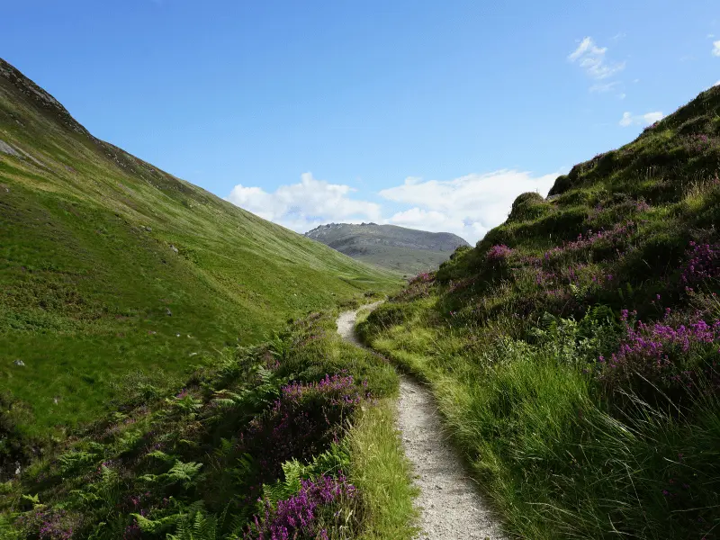 UNITED KINGDOM TRAVEL GUIDE