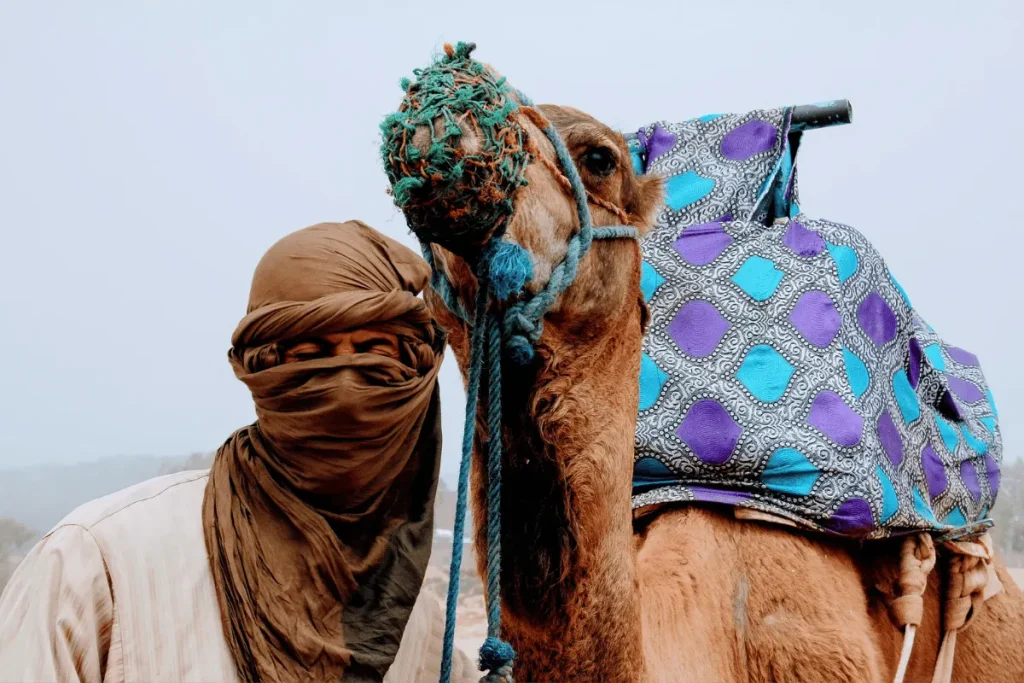 Elegant Moroccan