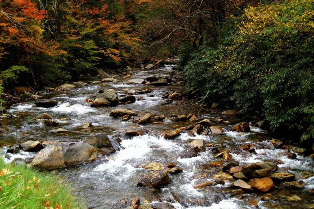 Great Smoky Mountains National Park