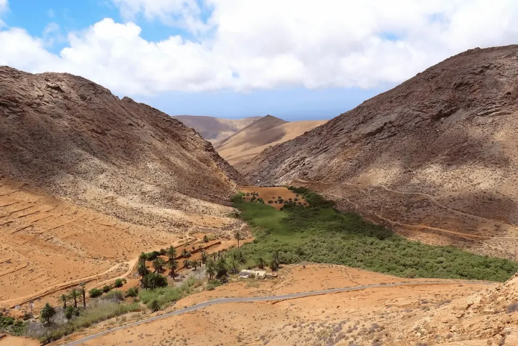 Liwa Oasis