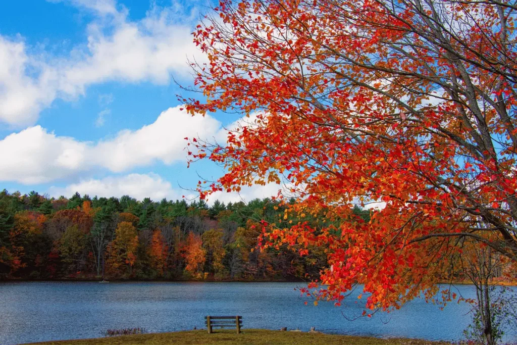 New England Fall Foliage Road Trip — New England