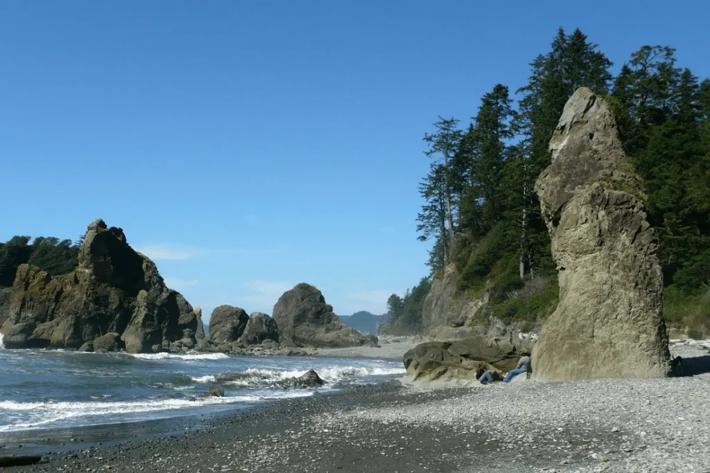 Olympic Peninsula Road Trip — Washington
