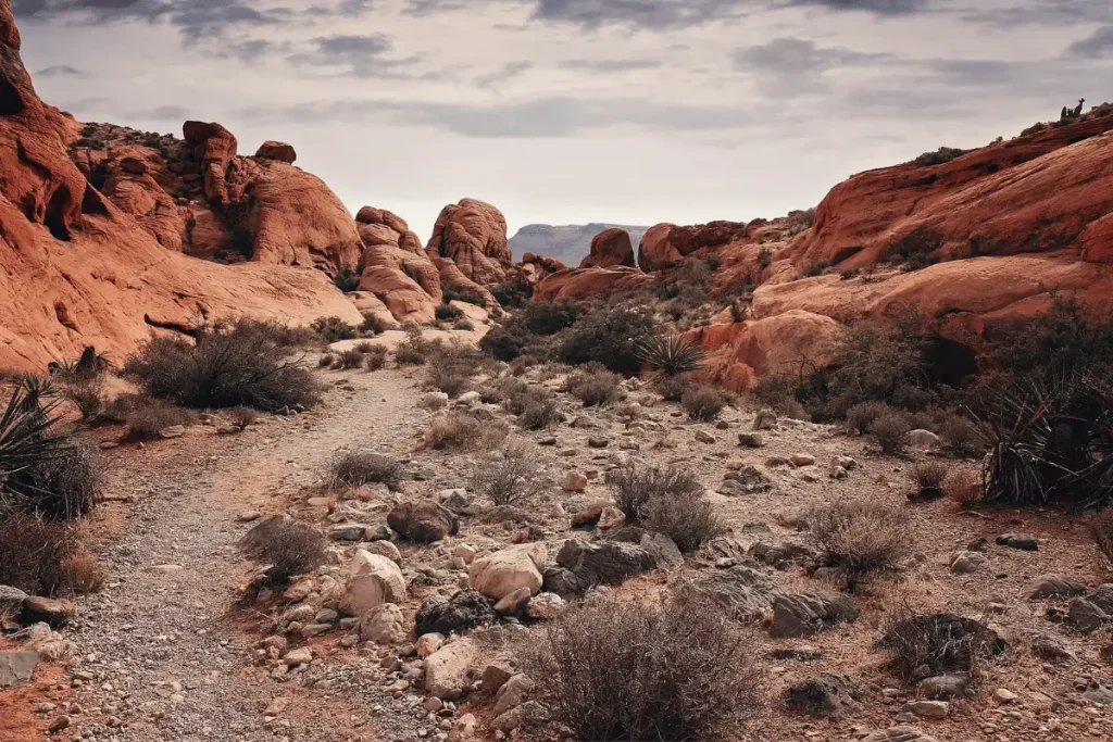 Red Rock Canyon Las Vegas Desert