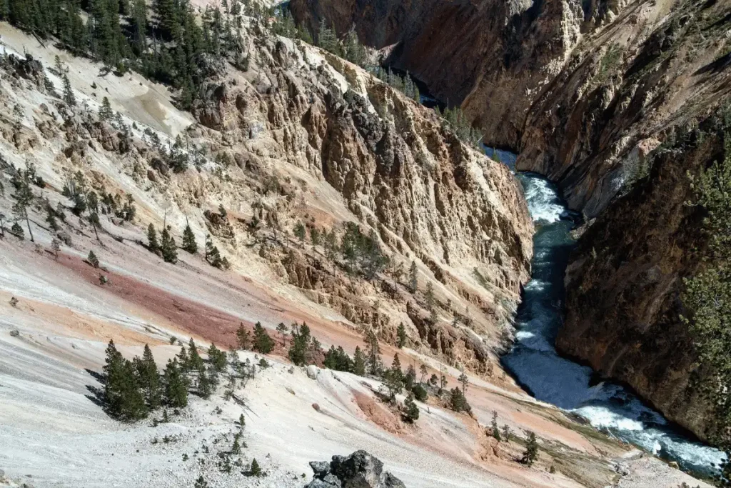 Yellowstone and Grand Teton Road Trip — Wyoming