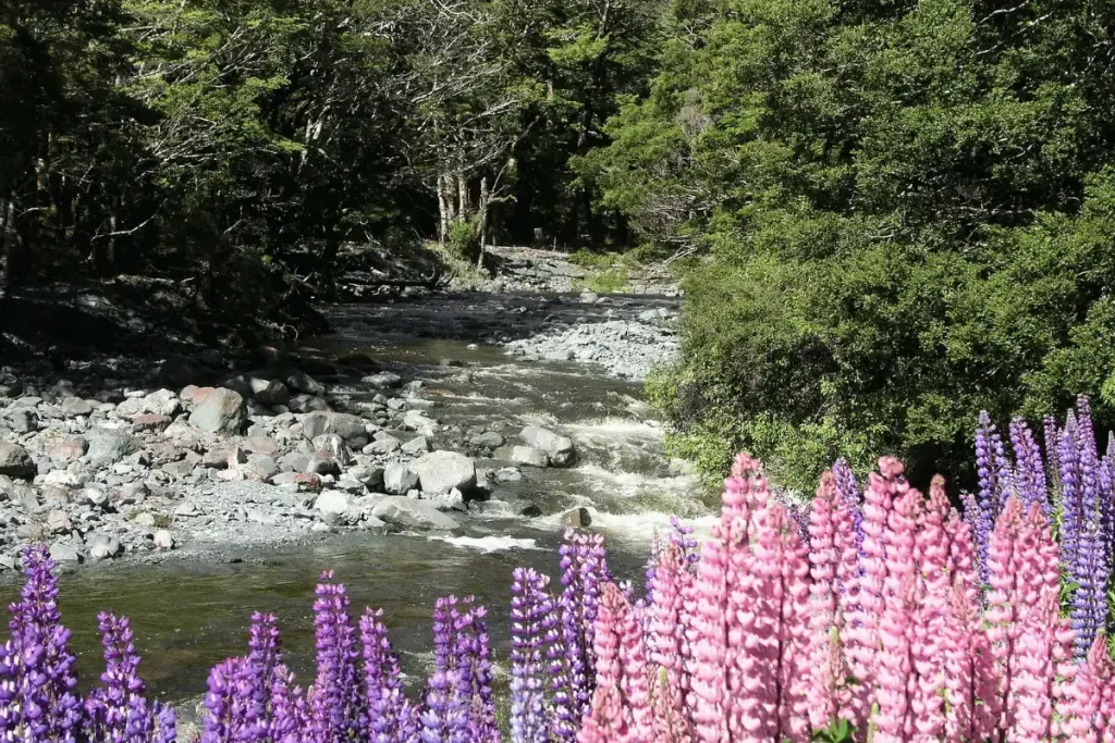 New Zealand travel tripandatlas